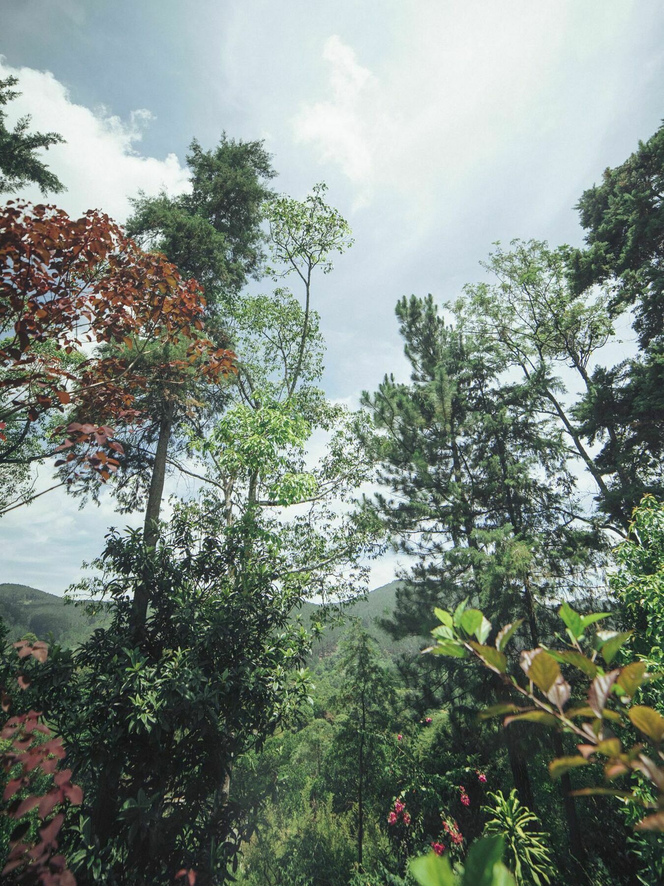 Villa Republic Бандаравела Экстерьер фото